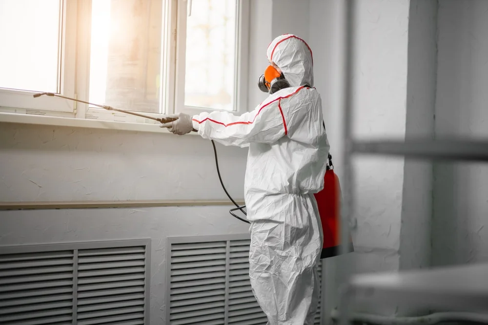 Professional mold remediation services in Saint Charles, AR